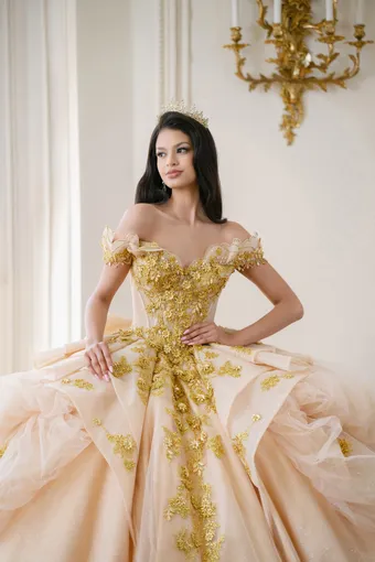 AmaBella Quinceanera Q1088 #8 frontface vertical cropped thumbnail