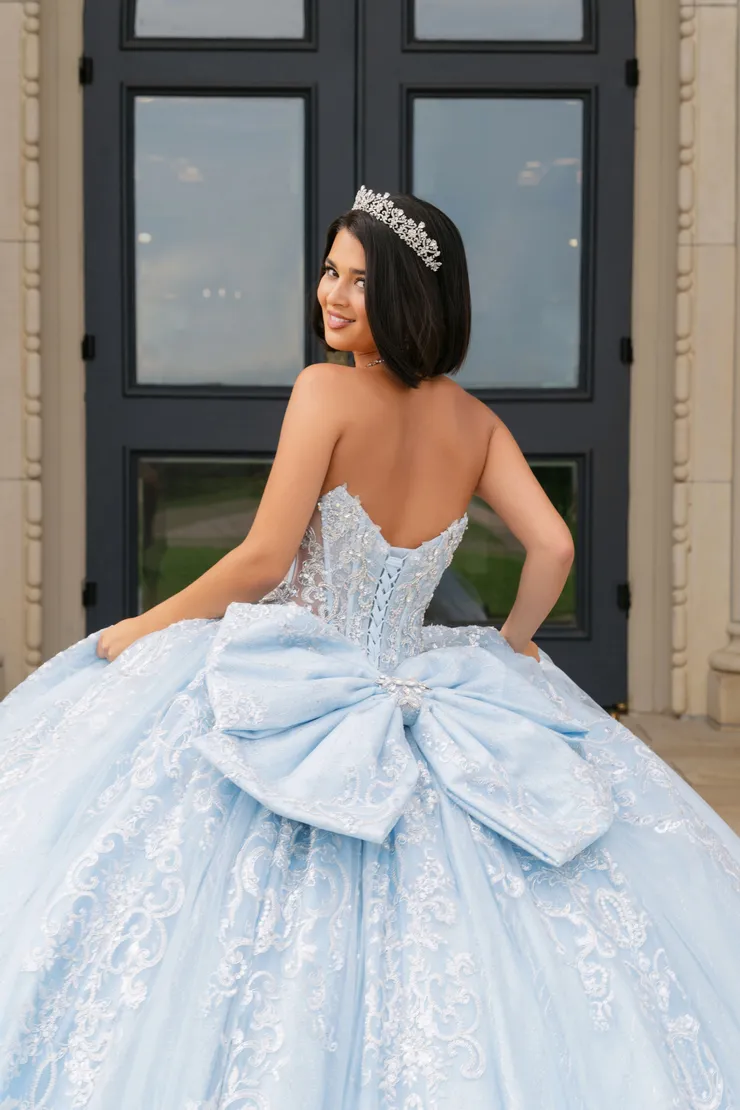 AmaBella Quinceanera Style #Q1094 #8 backface vertical cropped picture