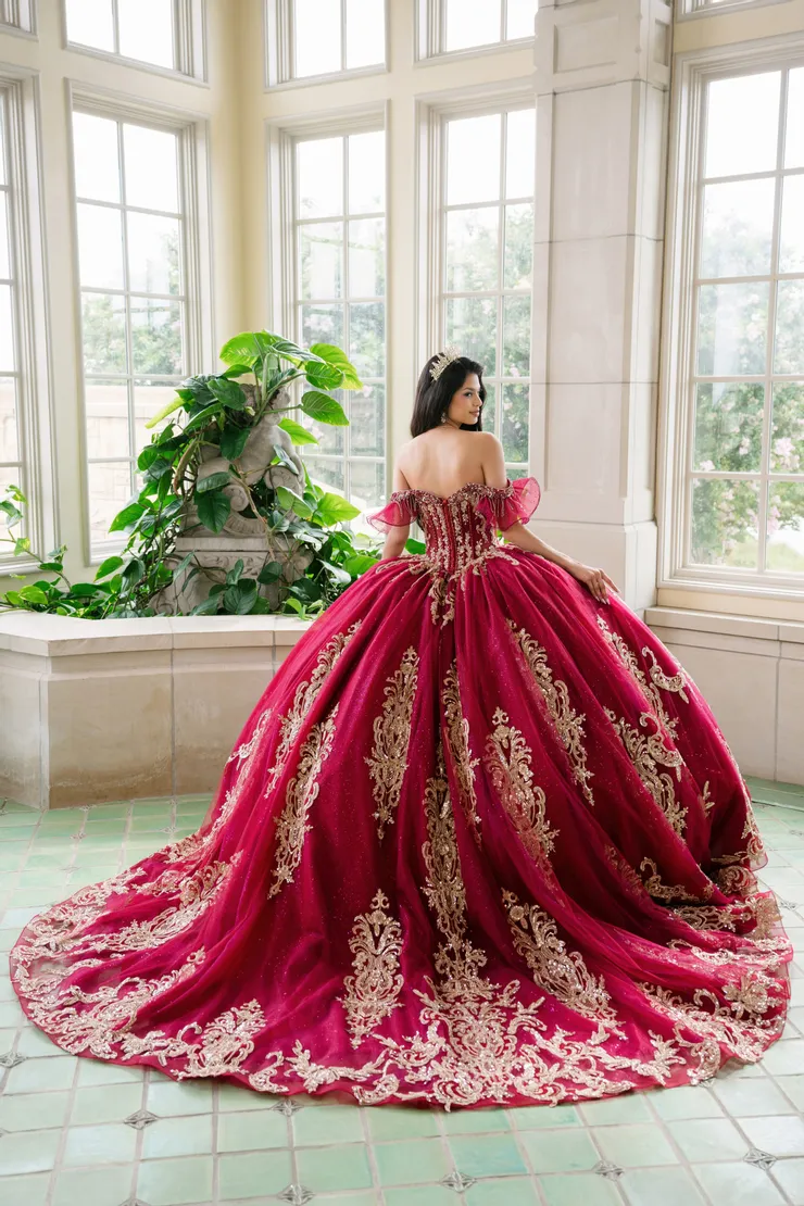 AmaBella Quinceanera Style #Q1095 #1 default Wine/Gold backface vertical picture