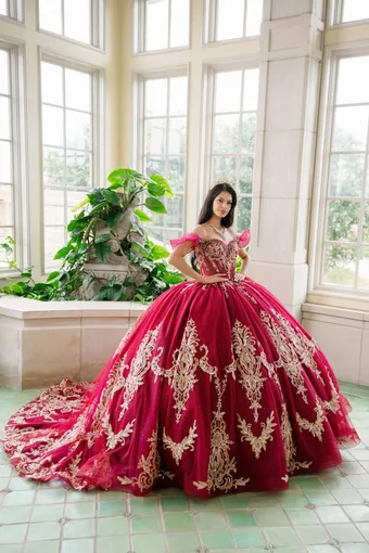 AmaBella Quinceanera Q1095 #0 default frontface vertical thumbnail