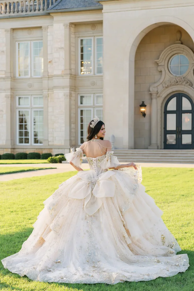 AmaBella Quinceanera Style #Q1096 #1 default Champagne backface vertical picture