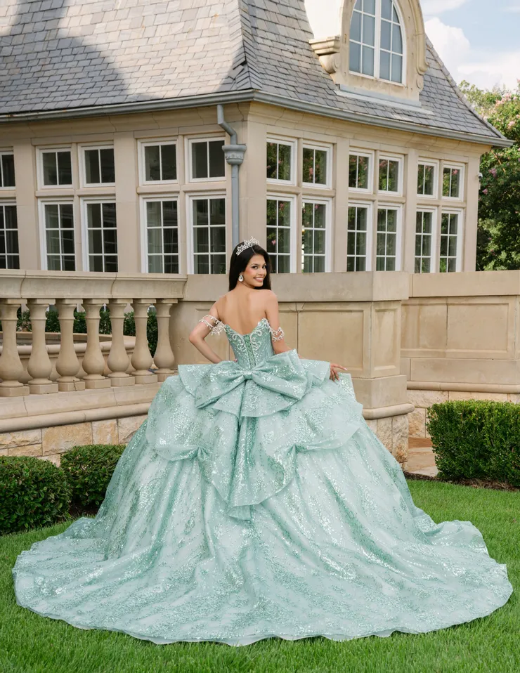 AmaBella Quinceanera Style #Q1097 #1 default Sage backface vertical picture