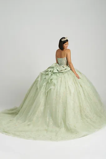 AmaBella Quinceanera QA164 #2 default backface vertical thumbnail