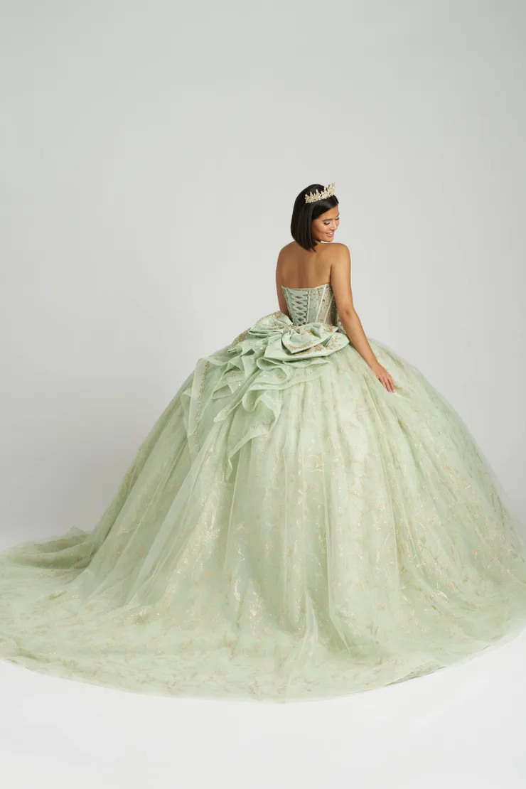 AmaBella Quinceanera Style #QA164 #1 default backface vertical picture