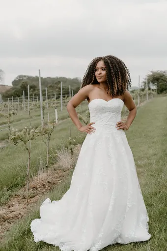 Rivers Signature collection WD025 V #0 default frontface vertical thumbnail