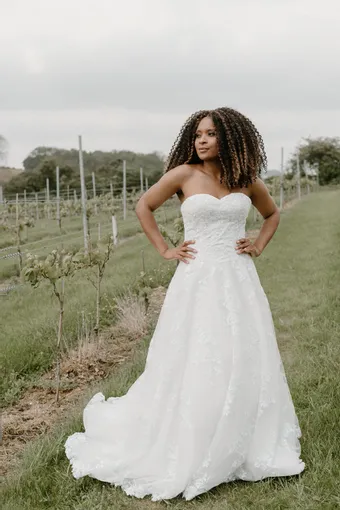 Rivers Signature collection WD025 V #4 frontface vertical thumbnail