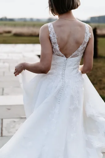 Rivers Signature collection WD082 V #50 backface vertical cropped thumbnail