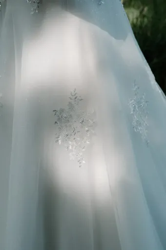 Rivers Signature collection WD095 COR #49 vertical cropped thumbnail