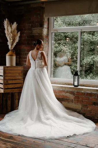 Rivers Signature collection WD111 COR #12 backface vertical thumbnail