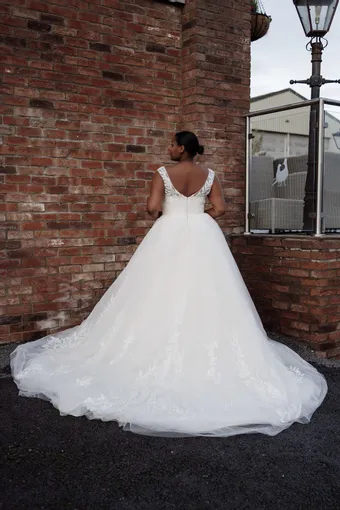 Rivers Signature collection WD111 COR #15 backface vertical thumbnail