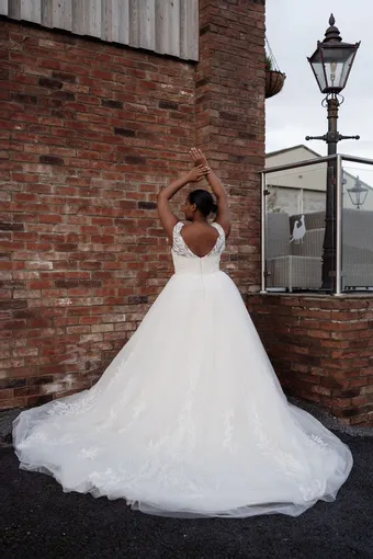 Rivers Signature collection WD111 COR #11 backface vertical thumbnail