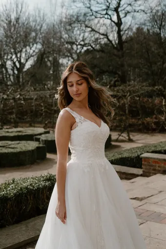 Rivers Signature collection WD111 COR #25 frontface vertical cropped thumbnail