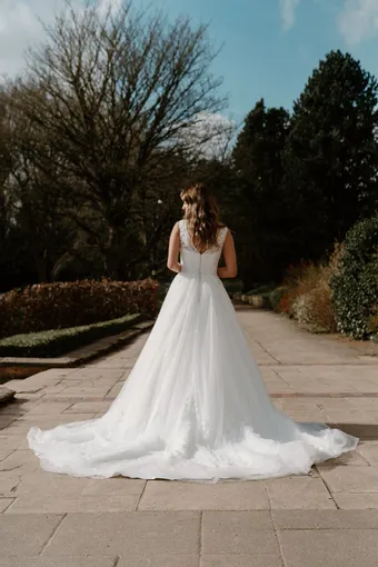 Rivers Signature collection WD111 COR #16 backface vertical thumbnail