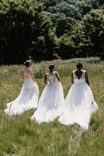 Rivers Signature collection WD112 CY #21 backface vertical thumbnail