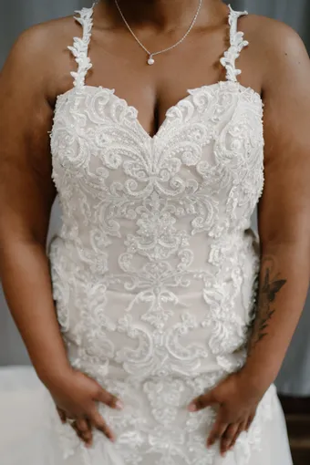 Rivers Signature collection WD112 CY #35 frontface vertical cropped thumbnail