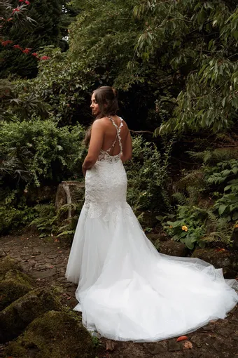 Rivers Signature collection WD112 CY #25 backface vertical thumbnail