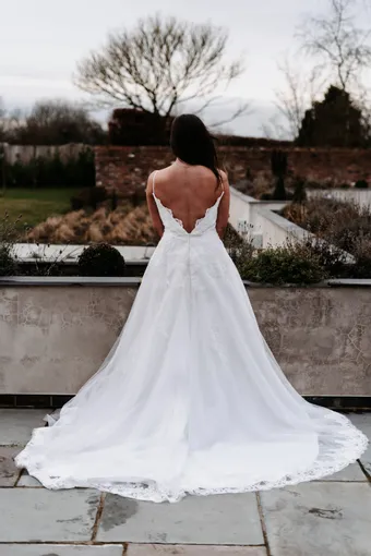 Rivers Signature collection WD114 COR #15 default backface vertical thumbnail