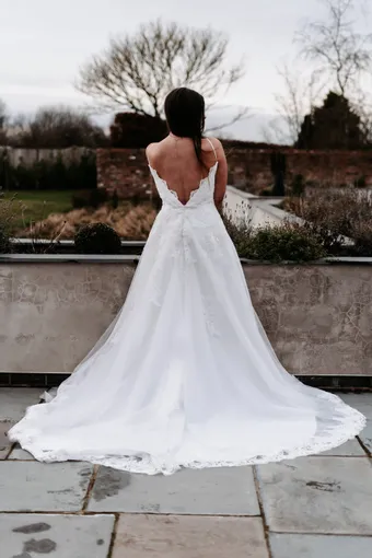 Rivers Signature collection WD114 COR #11 backface vertical thumbnail