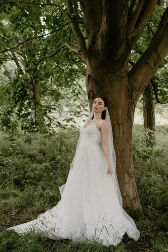 Rivers Signature collection WD114 COR #10 frontface vertical thumbnail