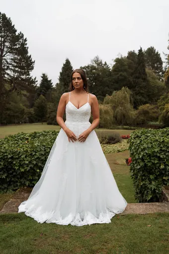 Rivers Signature collection WD114 COR #1 frontface vertical thumbnail