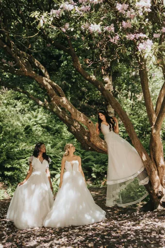 Rivers Signature collection WD122. VER #1 frontface vertical thumbnail