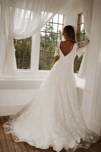 Rivers Signature collection WD137 VER #25 backface vertical thumbnail