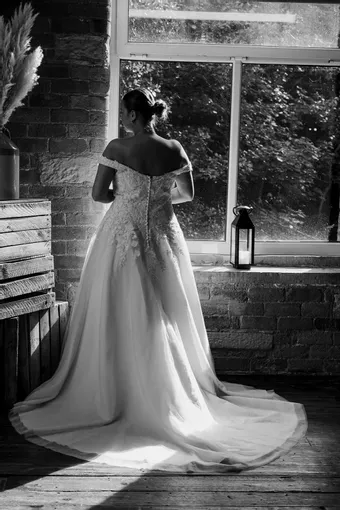 Rivers Signature collection WD147 CY #10 backface vertical thumbnail