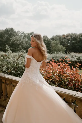 Rivers Signature collection WD147 CY #21 backface vertical cropped thumbnail