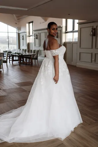 Rivers Signature collection WD148 COR #18 backface vertical thumbnail