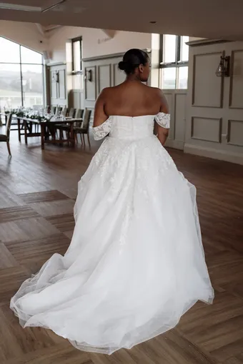 Rivers Signature collection WD148 COR #17 backface vertical thumbnail