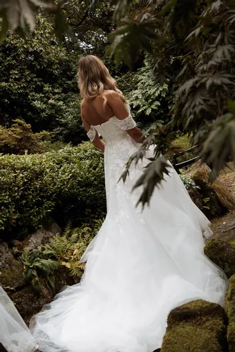 Rivers Signature collection WD148 COR #14 backface vertical thumbnail