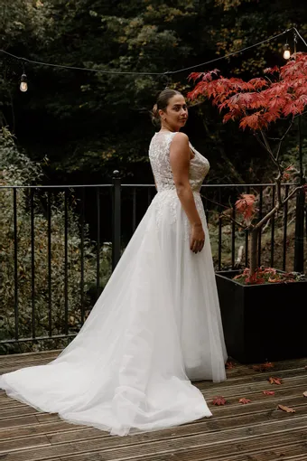 Rivers Signature collection WD152 COR #13 backface vertical thumbnail