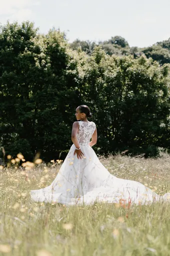 Rivers Signature collection WD152 COR #10 backface vertical thumbnail