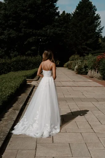 Rivers Signature collection WD165 CY #11 backface vertical thumbnail