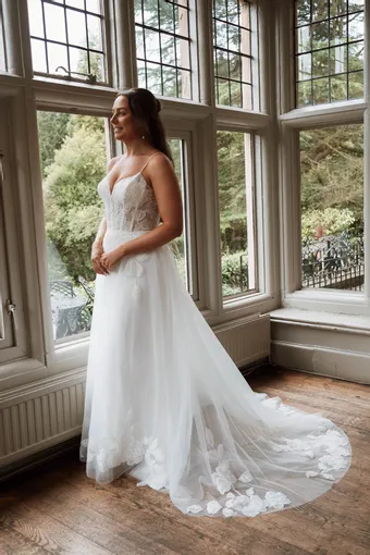 Rivers Signature collection WD165 CY #8 frontface vertical thumbnail