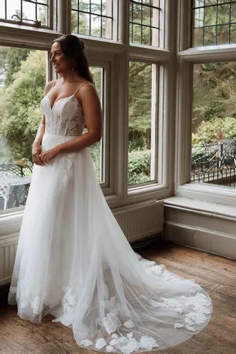 Rivers Signature collection WD165 CY #5 frontface vertical thumbnail