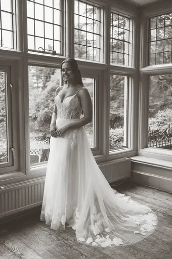 Rivers Signature collection WD165 CY #7 frontface vertical thumbnail