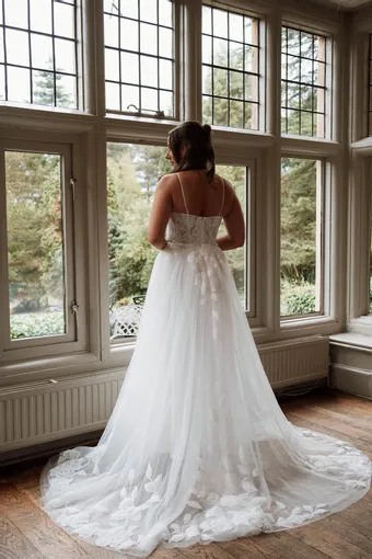 Rivers Signature collection WD165 CY #9 backface vertical thumbnail