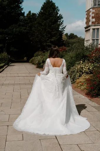 Rivers Signature collection WD166 V #8 backface vertical thumbnail