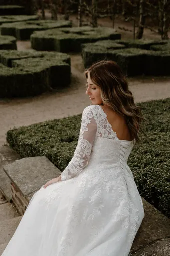 Rivers Signature collection WD166 V #18 backface vertical cropped thumbnail