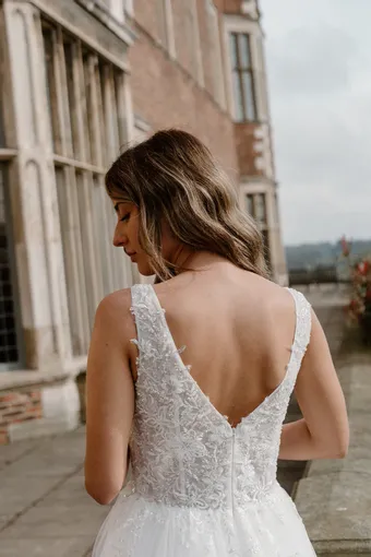 Rivers Signature collection WD168 CY #20 backface vertical cropped thumbnail