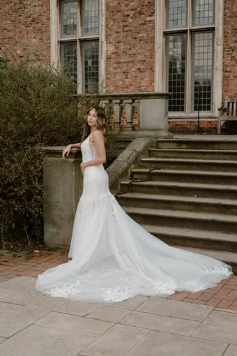 Rivers Signature collection WD169 CY #5 default backface vertical thumbnail