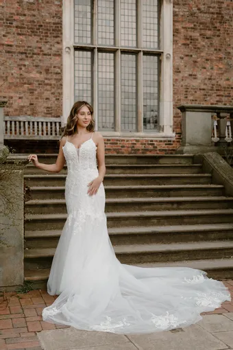 Rivers Signature collection WD169 CY #1 frontface vertical thumbnail