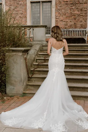 Rivers Signature collection WD169 CY #3 backface vertical thumbnail