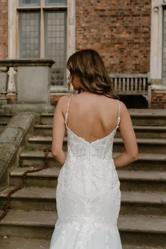 Rivers Signature collection WD169 CY #10 backface vertical cropped thumbnail