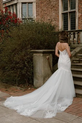 Rivers Signature collection WD169 CY #4 backface vertical thumbnail