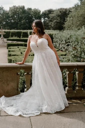 Rivers Signature collection WD174 CY #2 frontface vertical thumbnail