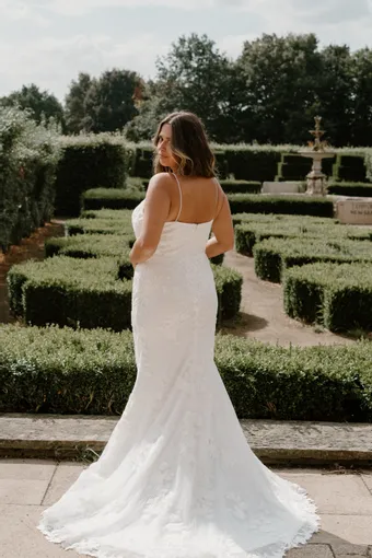 Rivers Signature collection WD175 V #14 default backface vertical thumbnail