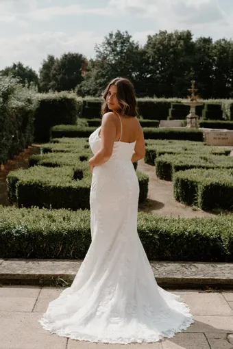 Rivers Signature collection WD175 V #13 backface vertical thumbnail