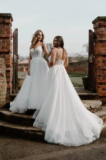 Rivers Signature collection WD176 CY #0 default frontface backface vertical thumbnail